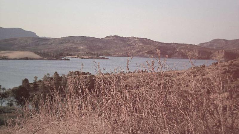 Накрутка подписчиков в TikTok: стратегии роста в 2026 году